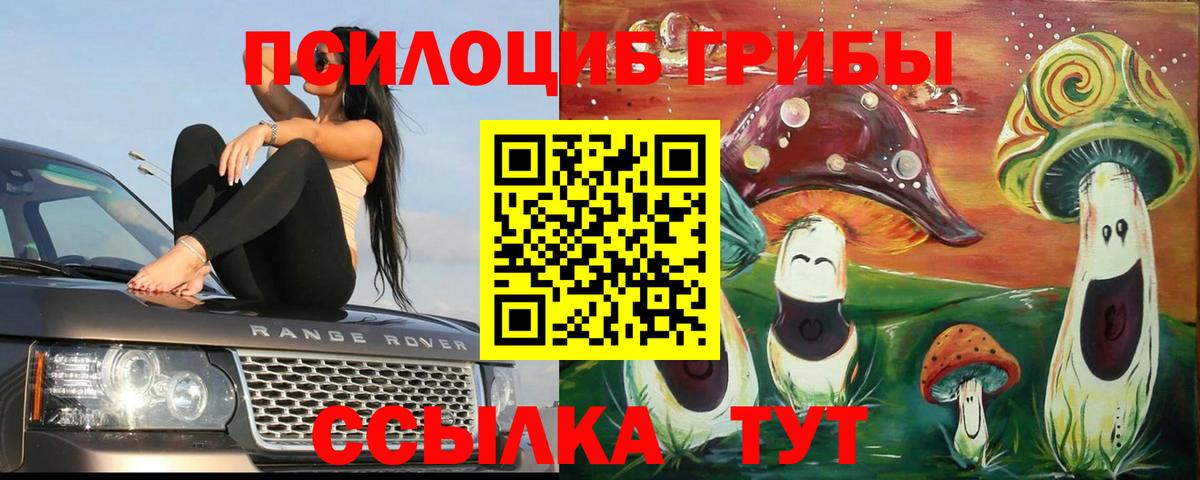 Псилоцибиновые грибы Psilocybine cubensis  Галлюциногенные грибы прущие грибы  Семёнов  Вход с VPN 