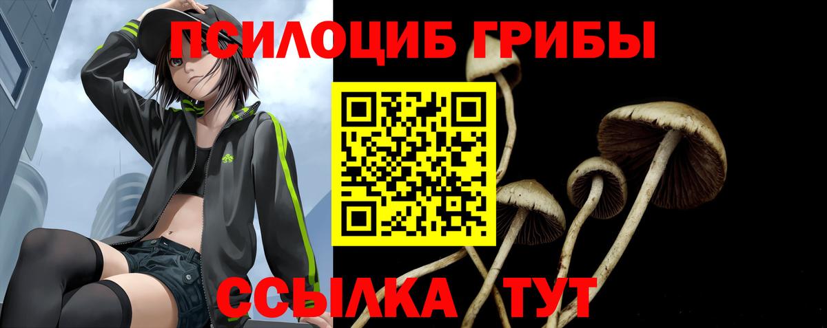 Галлюциногенные грибы Magic Shrooms Семёнов